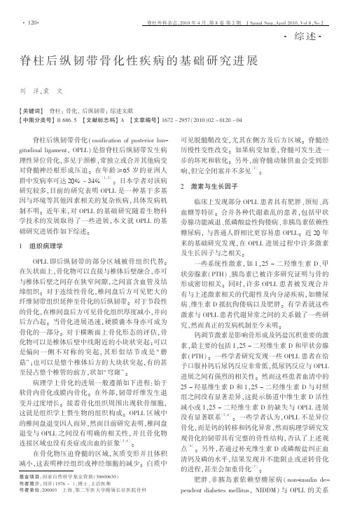 periodical__jzwkzz__jzwk2010__1002pdf__100215