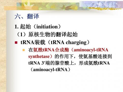 分子生物学16