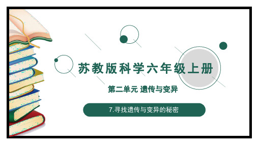 苏教版六年级上册科学寻找遗传与变异的秘密(课件)(共12张)