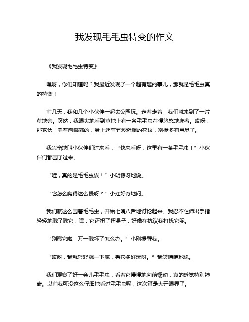 我发现毛毛虫特变的作文