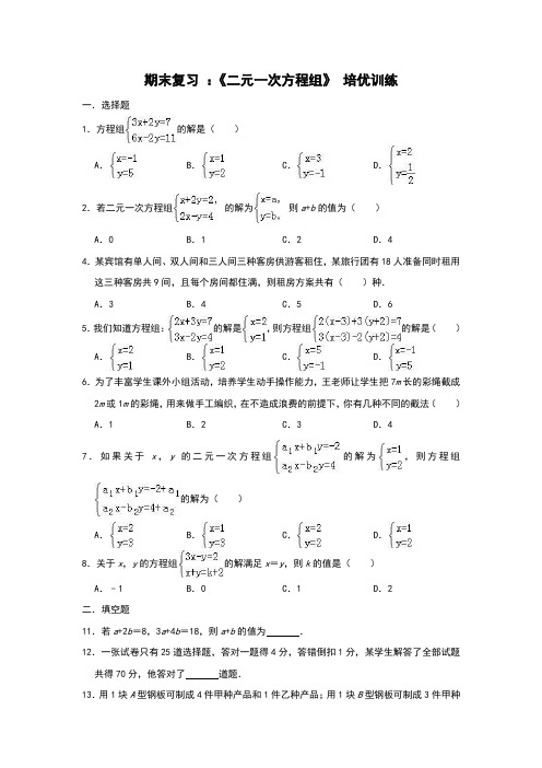 《二元一次方程组》 培优训练(含答案)