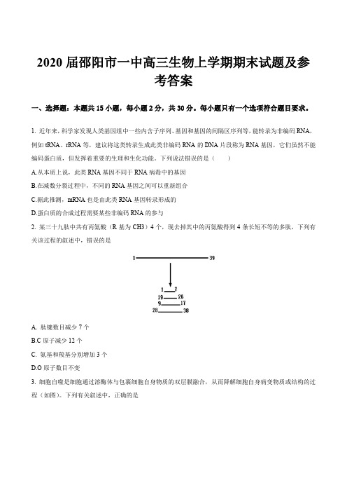 2020届邵阳市一中高三生物上学期期末试题及参考答案