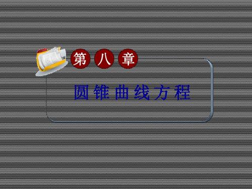 2013届高考数学(文科)大纲版一轮总复习课件8.2双曲线(第2课时)