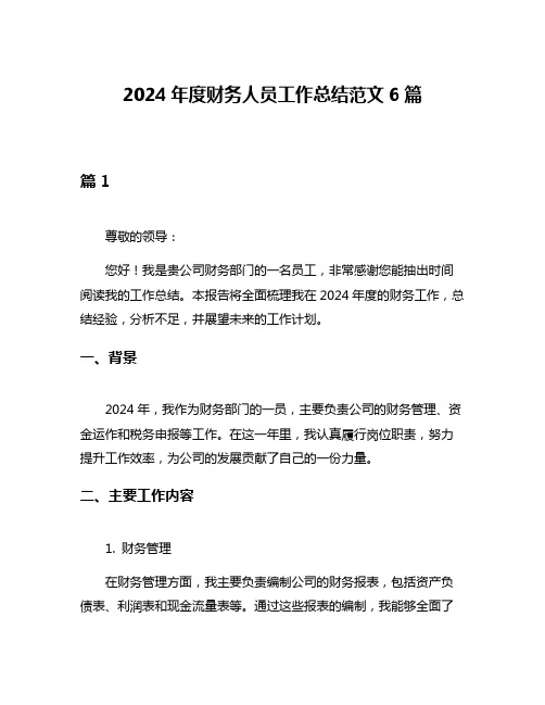 2024年度财务人员工作总结范文6篇