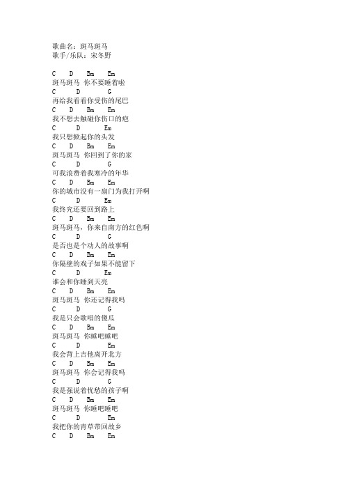 宋东野 斑马斑马