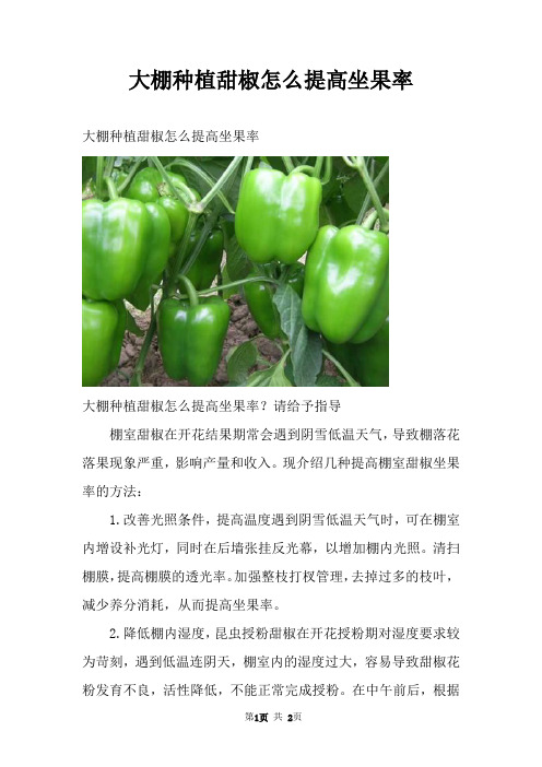 大棚种植甜椒怎么提高坐果率