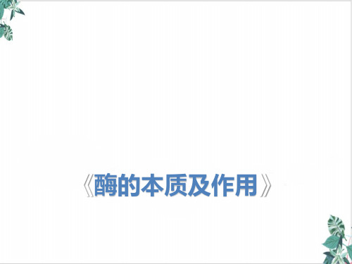 必修一酶的本质和作用课件高考一轮复习生物公开课PPT