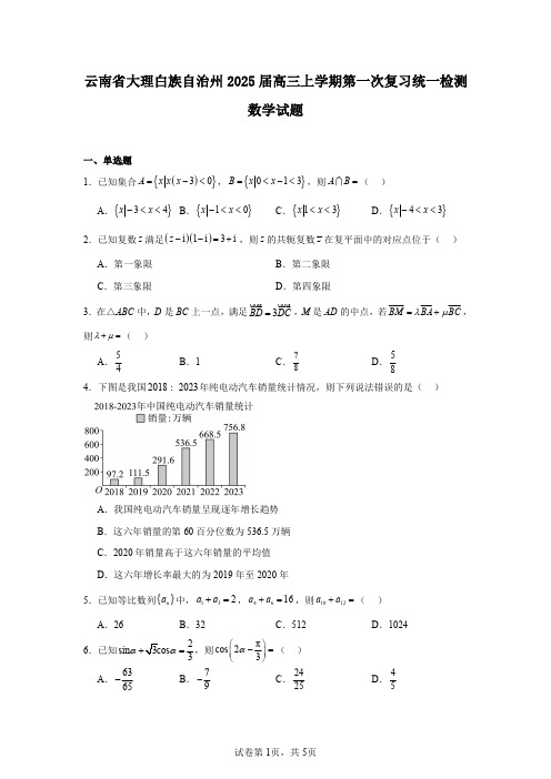 云南省大理白族自治州2025届高三上学期第一次复习统一检测数学试题