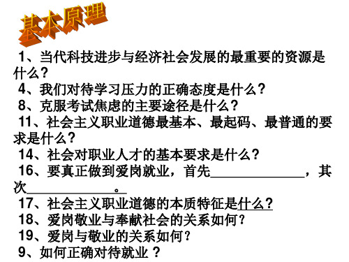 九年级政治立志成才 报效祖国(PPT)5-4