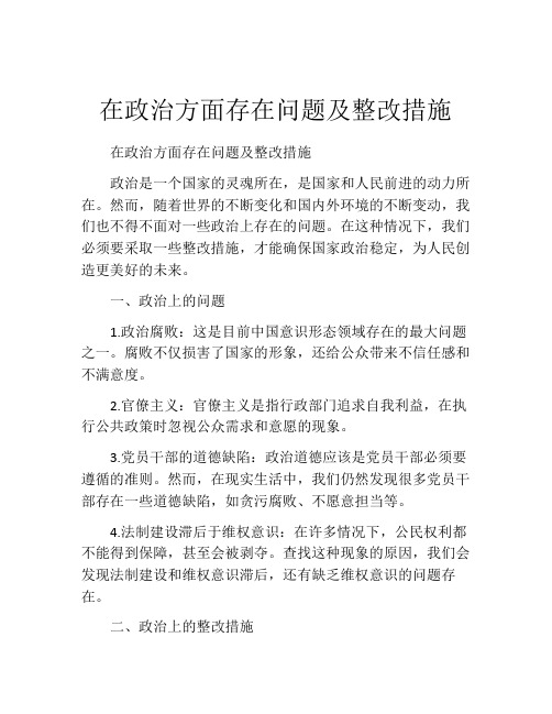 在政治方面存在问题及整改措施