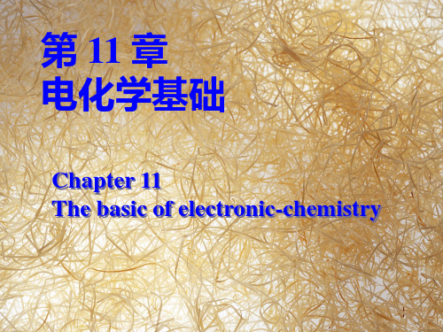 第11章电化学基础[北]PPT课件