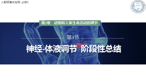 第3章 体液调节(复习课件)-高考生物一轮复习优质课件