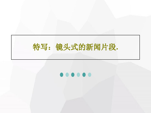 特写：镜头式的新闻片段.共29页