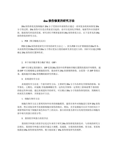 dna损伤修复的研究方法