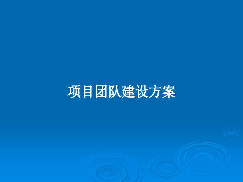 项目团队建设方案PPT教案