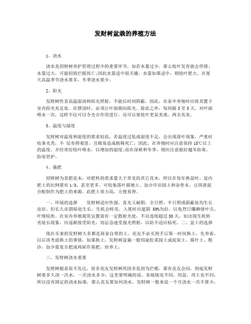 发财树盆栽的养殖方法