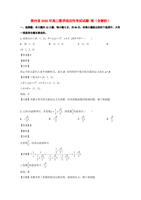 贵州省2020年高三数学适应性考试试题 理(含解析)