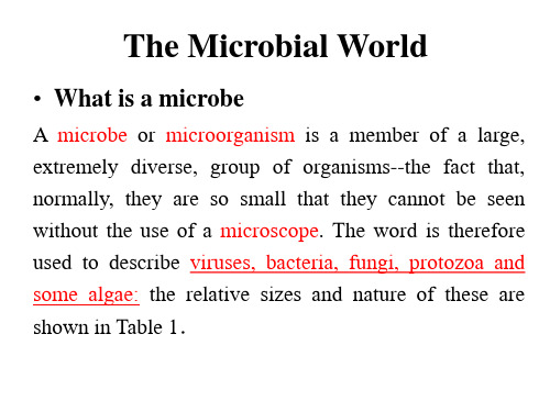 专业英语 12microbial world