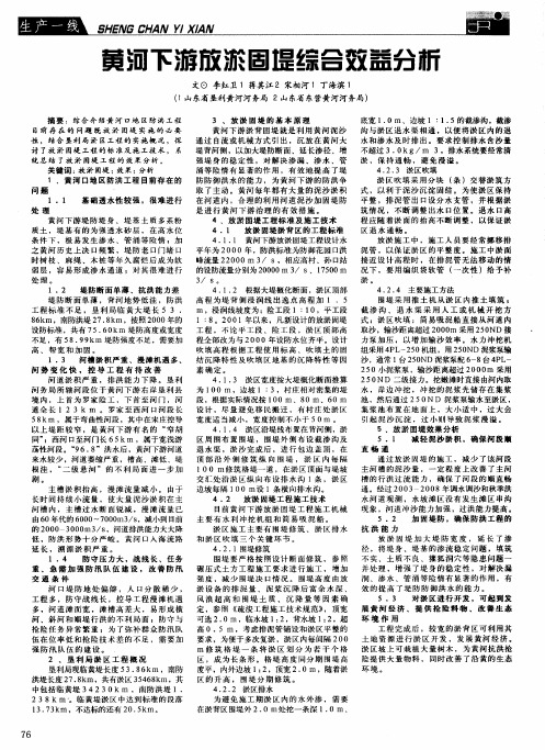 黄河下游放淤固堤综合效益分析