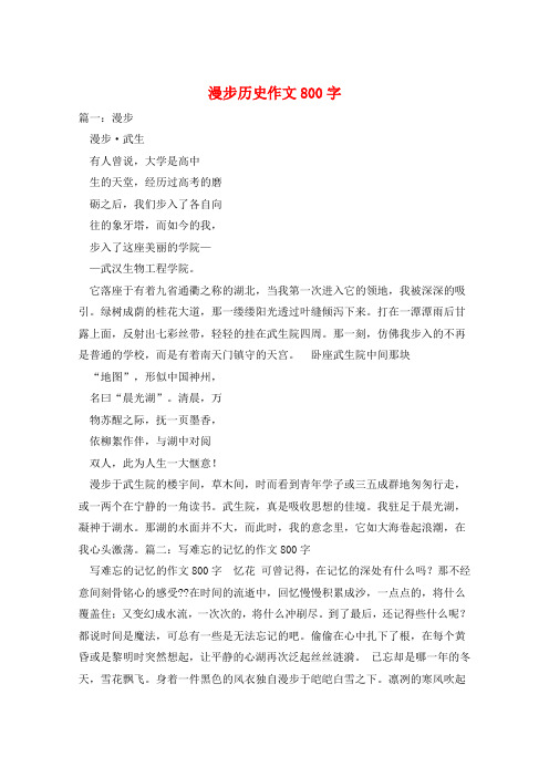 漫步历史作文800字