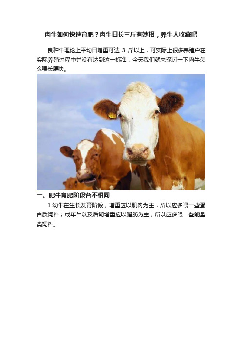 肉牛如何快速育肥？肉牛日长三斤有妙招，养牛人收藏吧