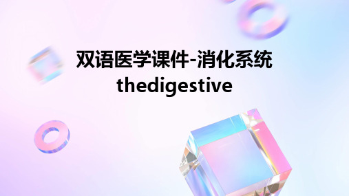 双语医学课件-消化系统TheDigestive