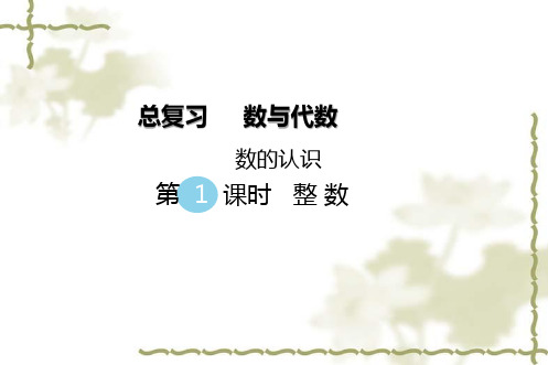 最新北师大版六年级数学下册 总复习 专题一 数与代数(一)数的认识 第1课时 整 数 优质课件