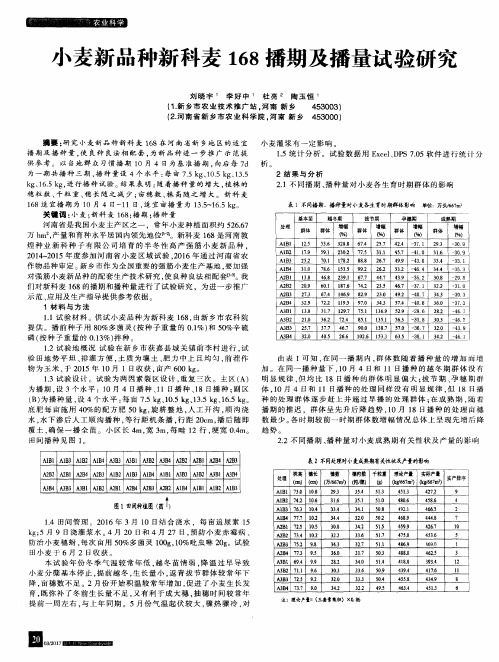 小麦新品种新科麦168播期及播量试验研究