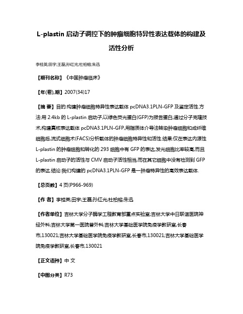 L-plastin启动子调控下的肿瘤细胞特异性表达载体的构建及活性分析