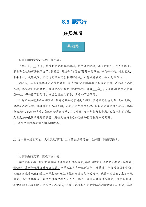 8.3《琵琶行》(分层练习)-2024-2025学年高一语文同步精品课堂(统编版必修上册)原卷版