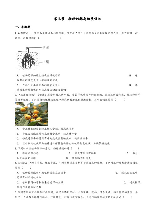 4-3 植物的根与物质吸收 练习—浙教版八年级科学下册