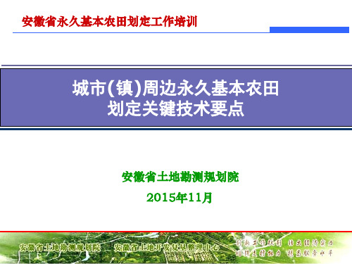 城市(镇)周边永久基本农田划定关键技术要点