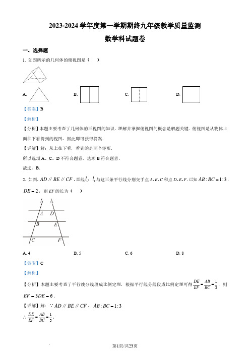 广东普宁2023-2024学年九年级上学期期末数学试题(解析版)