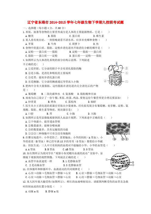 辽宁省东港市七年级生物下学期九校联考试题