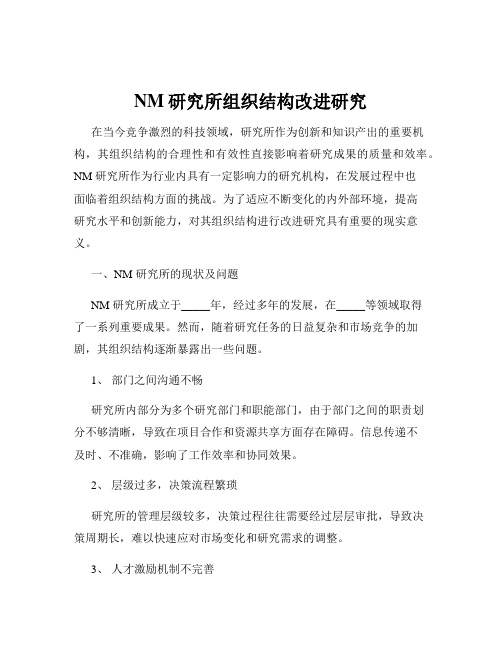 NM研究所组织结构改进研究