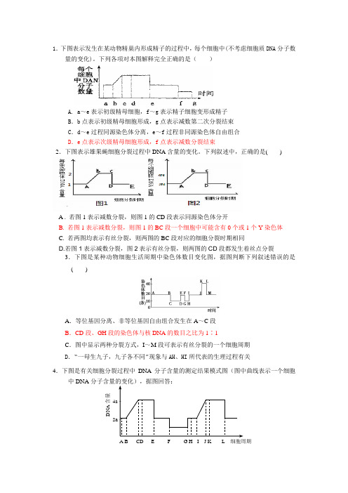 减数分裂的几个曲线图精题