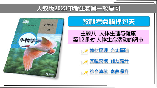 【人教2023中考生物一轮复习 考点梳理过关】第12课时 人体生命活动的调节