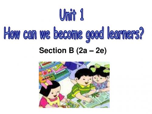 人教新目标九年级全册Unit1 How can we become good learners？Section B (2a – 2e) (共16张PPT)