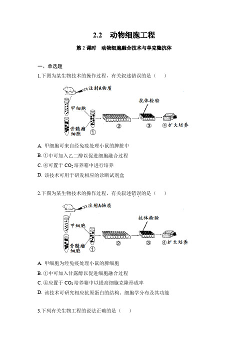 2.2 动物细胞工程(第2课时 动物细胞融合技术与单克隆抗体)