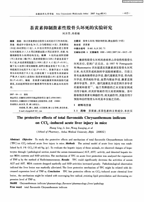 茶黄素抑制激素性股骨头坏死的实验研究