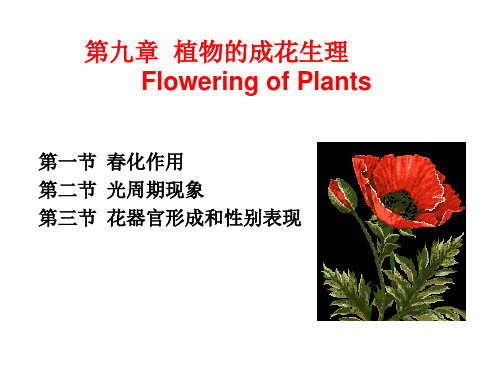 植物成花生理讲解