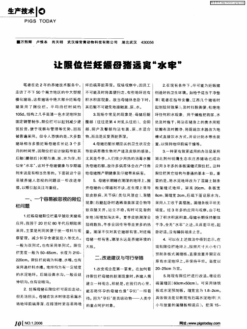 让限位栏妊娠母猪远离“水牢”