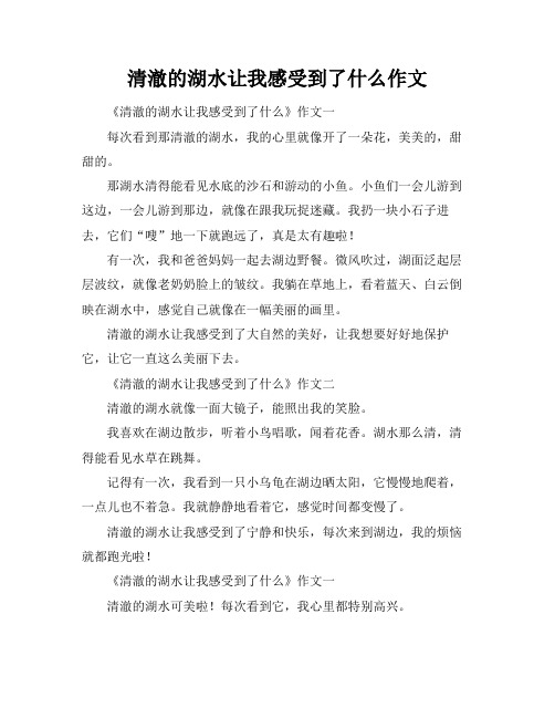 清澈的湖水让我感受到了什么作文