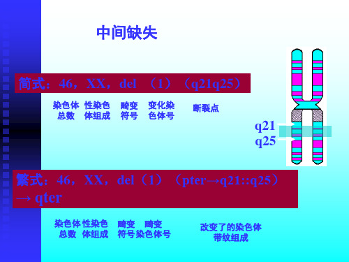 2018年人类染色体疾病的诊断二-文档资料