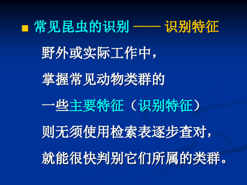 昆虫重要的目