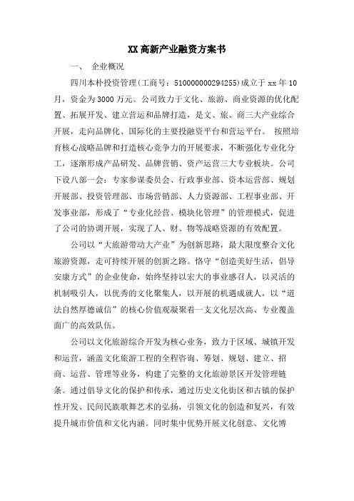 XX高新产业融资计划书