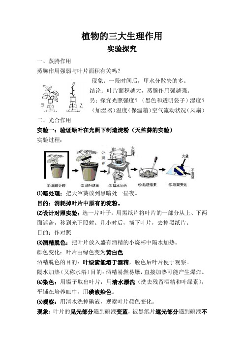 初中生物绿色植物的三大生理作用知识汇总