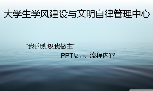 我的班级我做主PPT内容流程