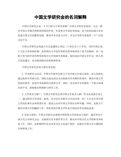 中国文学研究会的名词解释