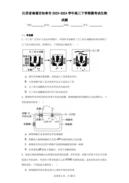 江苏省南通市如皋市2023-2024学年高三下学期模考试生物试题